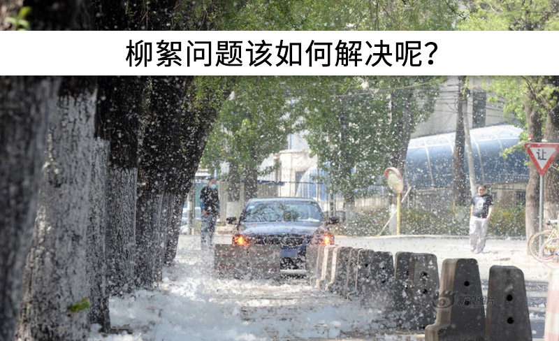 遇到“柳絮”不慌!這樣做,節能維修費用